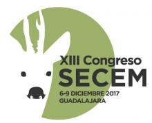 SECEM 2017