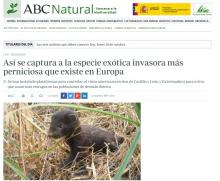 ABC Natural ABC Natural