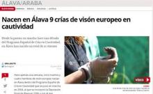 Nacen en Álava 9 crías de visón europeo en cautividad