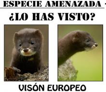 SE BUSCA SE BUSCA